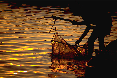 Fisherman in India