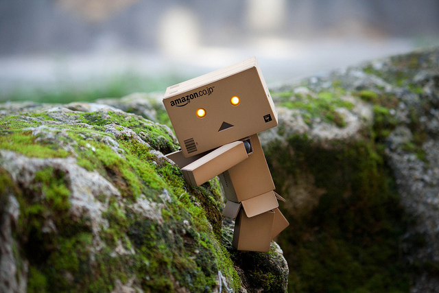 Danbo on the cliffside