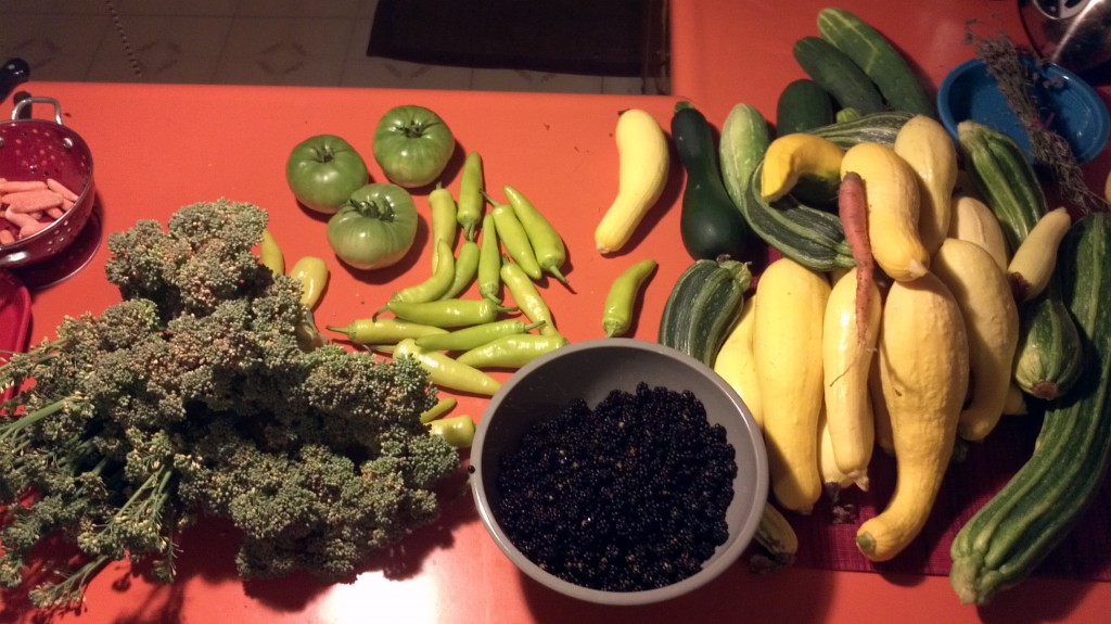 A modest harvest 