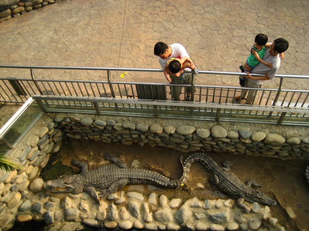 Yes, those are real crocodiles  